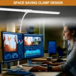 LED Desk Lamp Double/Single Head Architect Desk Lamps Office Eye-Caring Desk Light Stepless Dimmable Adjustable Gooseneck Lamp - Image 4