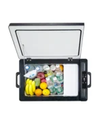 Car Mini Refrigerator 12/24V Portable Compressor Fridge 20L Cooler For Caravan Camping Travel or Cosmetic Freezer  AC 110-240V - Image 2